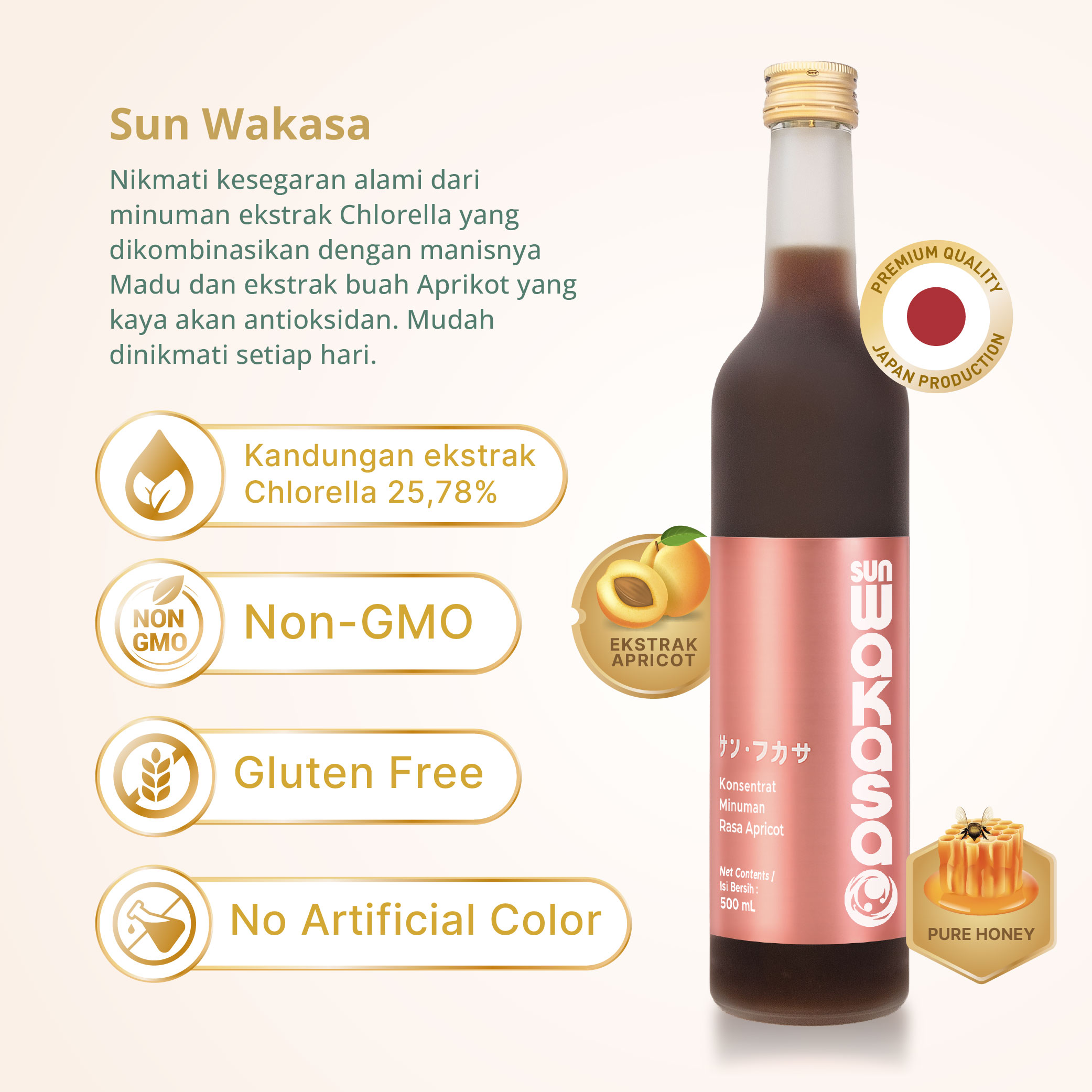 sun wakasa new