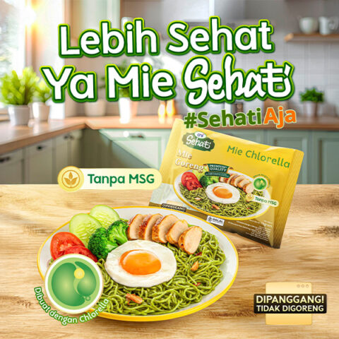 Mie Sehati goreng