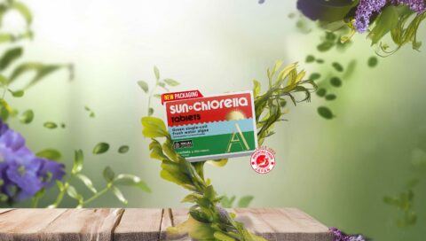Diet Cerminan Gaya Hidup Sehat, Benar Nggak Ya?